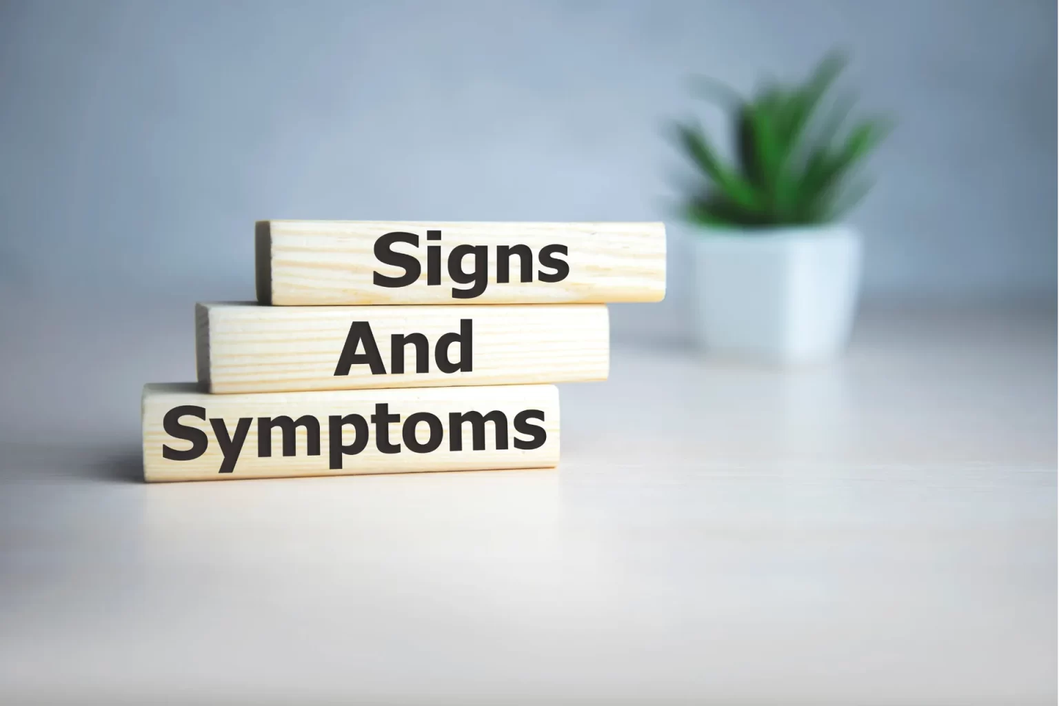 Symptoms of a UTI Symptoms of a UTI